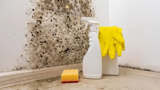 Spray bottle, sponge and gloves beside black mold on a wall corner