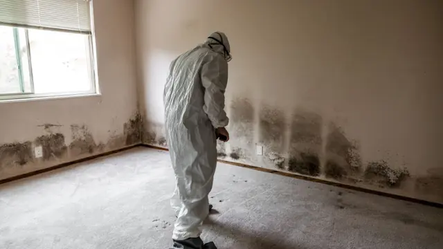Person in a protective suit examining mold along the lower wall of an empty room