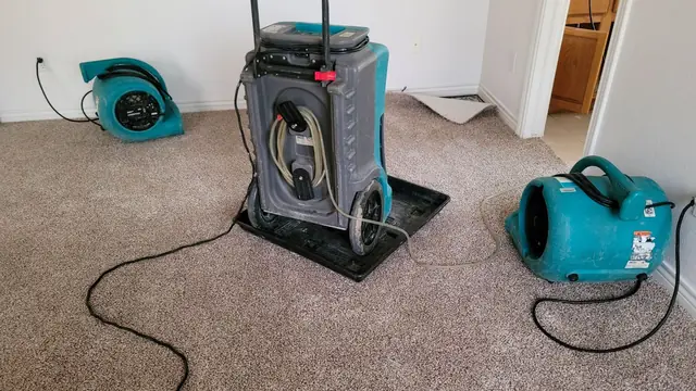 Dehumidifier and teal air movers drying a carpeted room